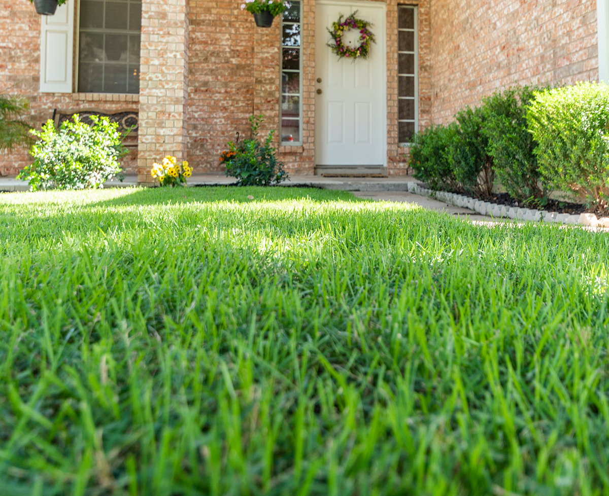 Anuvia-Emerald Lawns-Customer Lawn Anuvia-Emerald Lawns-Customer Lawn