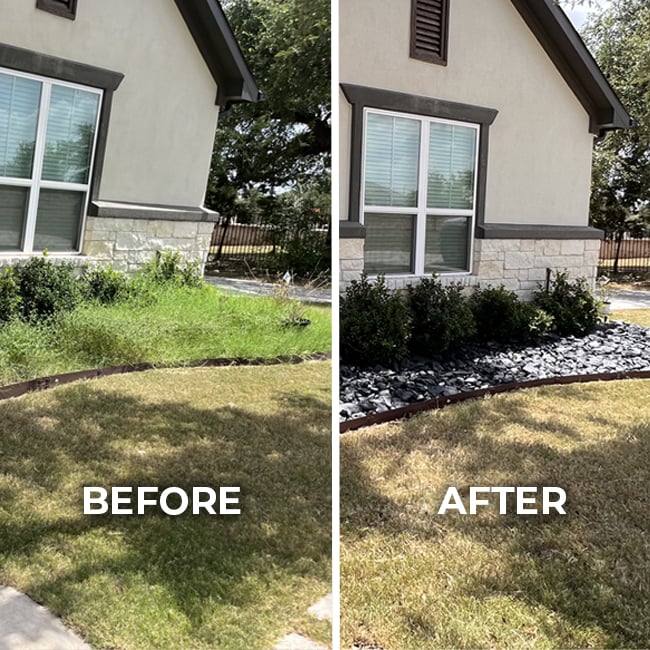 Before and After lawn transformation 4