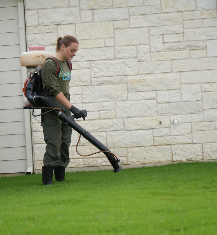 View of Flea & Tick Yard Treatment Services | Emerald Lawns