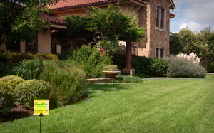 Tree and Shrub Graphic