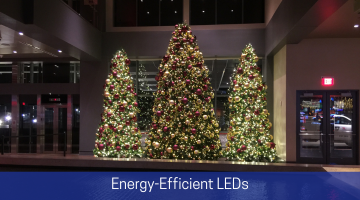 Energy Efficient LEDs Emerald Lawns