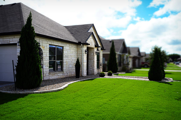 Healthy Green Lawn