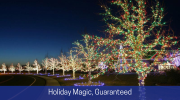 Holiday Magic Guaranteed Emerald Lawns