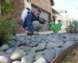 Home-hero-rock-bed-weed-control