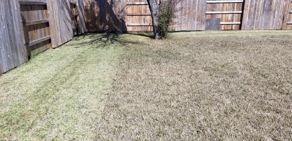 Lawn Requiring Lawn Care Services