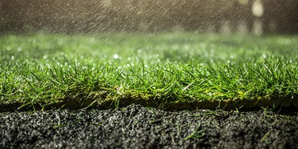 AdobeStock_108069264_resized-600x300
