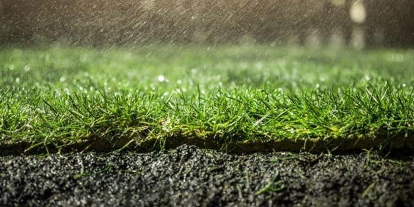 AdobeStock_108069264_resized-800x400-1