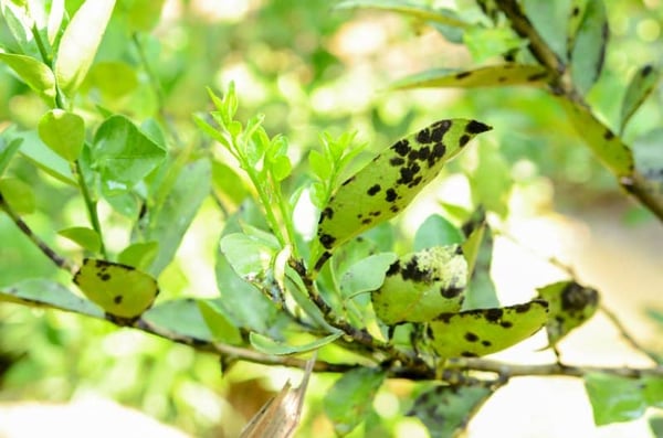 AdobeStock_262977285-800x530