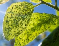 AdobeStock_280997777-200x154
