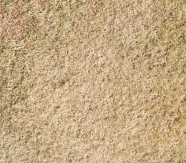 AdobeStock_28451963-400x352