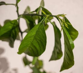 AdobeStock_284954760-600x532