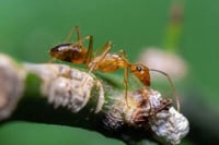 AdobeStock_287615811-400x267
