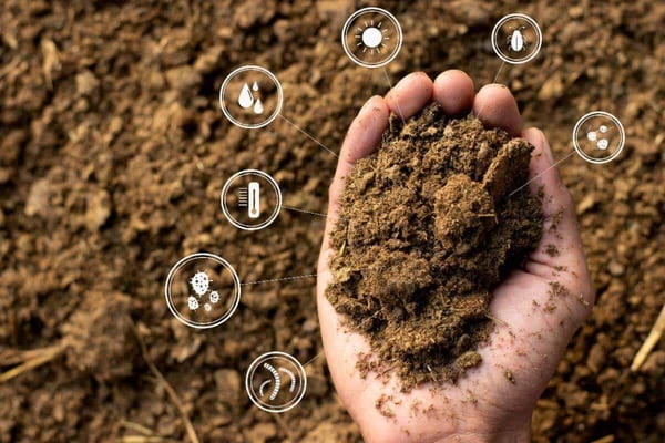 Healthy Soil for Lawn Care