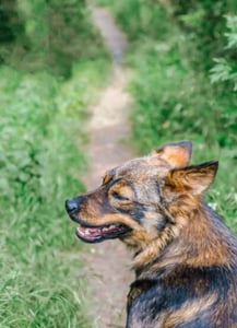 AdobeStock_356936248-400x553