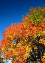 AdobeStock_361671993-768x1062