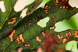 AdobeStock_391862388-800x533