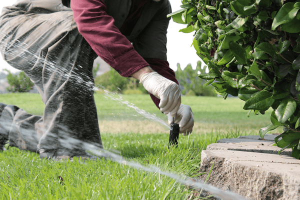 Lawn Care Irrigation