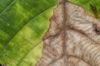 AdobeStock_431425396-200x133