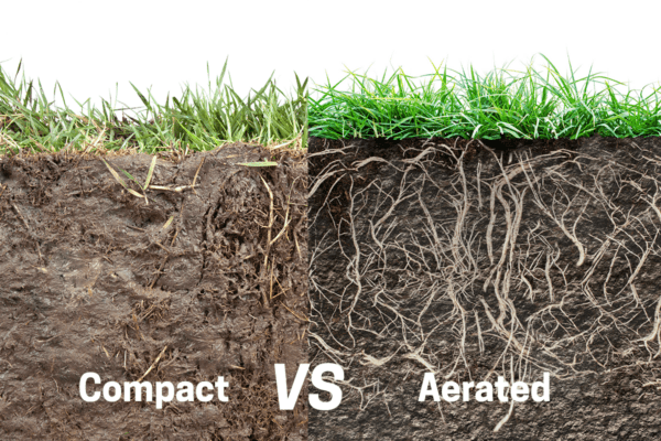 Aeration-Graphic-600x400