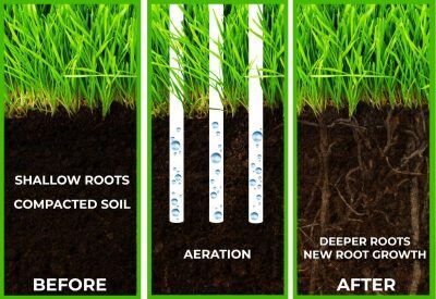 Aeration-Illustration-1200x826-1-400x275-2