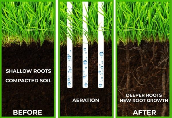 Aeration Service Effectiveness