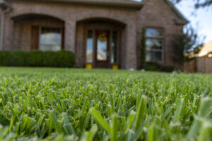 Anuvia-EmeraldLawns_291-300x200