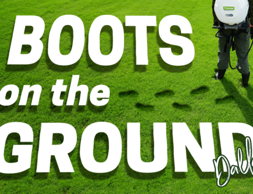 Dallas Boots on the Ground: Summer 2024