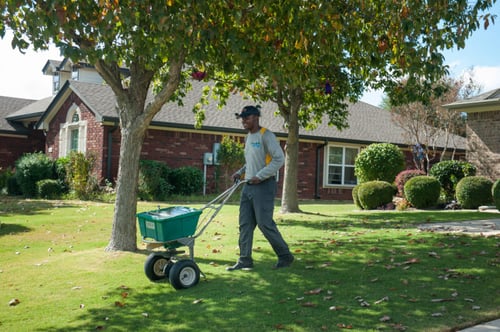 Emerald-Lawns-441-800x532