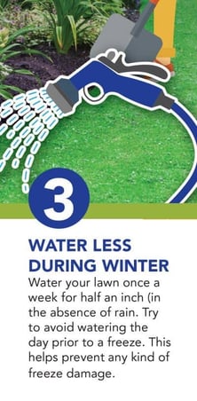 Emerald-Lawns-NBF-11-18-step-3-400x815