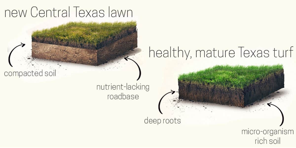 New Lawn, Healthy Lawn