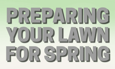 Spring-Blog-Header-400x240