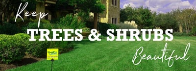 Tree and Shrub Care Service