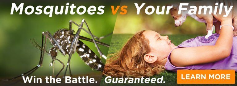 Website-Ad_Mosquito-vs-Family-768x280