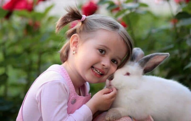 adorable-animal-baby-160933-800x508