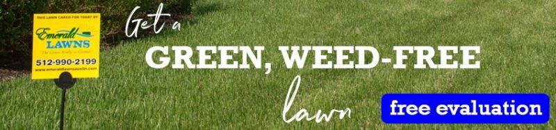 free-lawn-evaluation