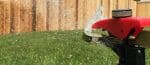 grass-1370596-e1534541416710-150x65