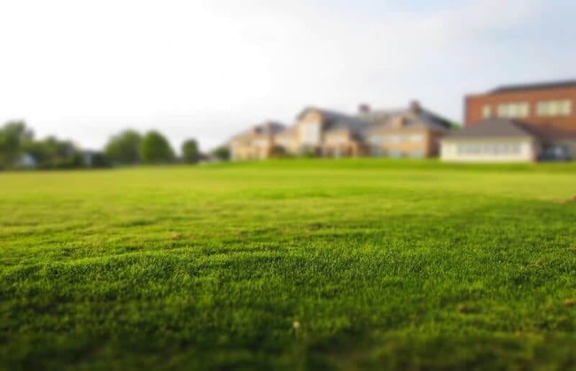 lawn-768316_1280-800x516