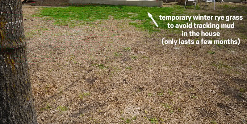 Lawn Dying