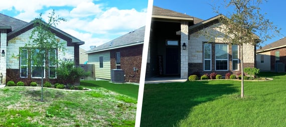 Lawn Comparison (2) color corrected slanted line copy