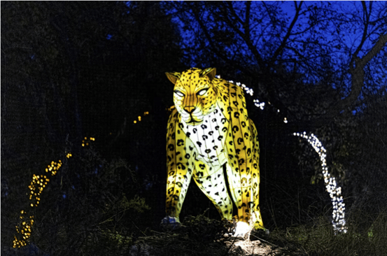 dallas zoo holiday lights