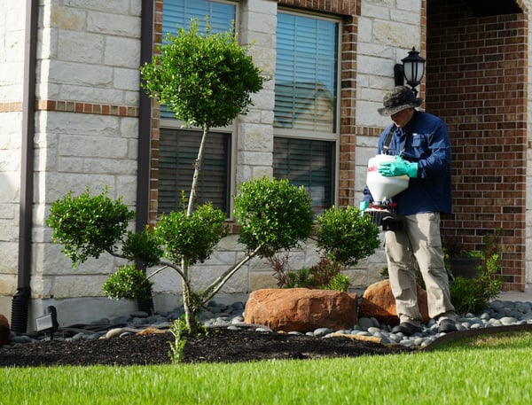 bed weed control granular treatment