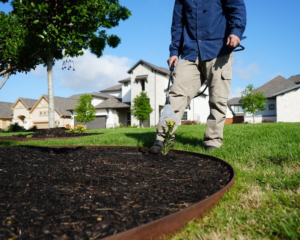 bed weed control spot treatment