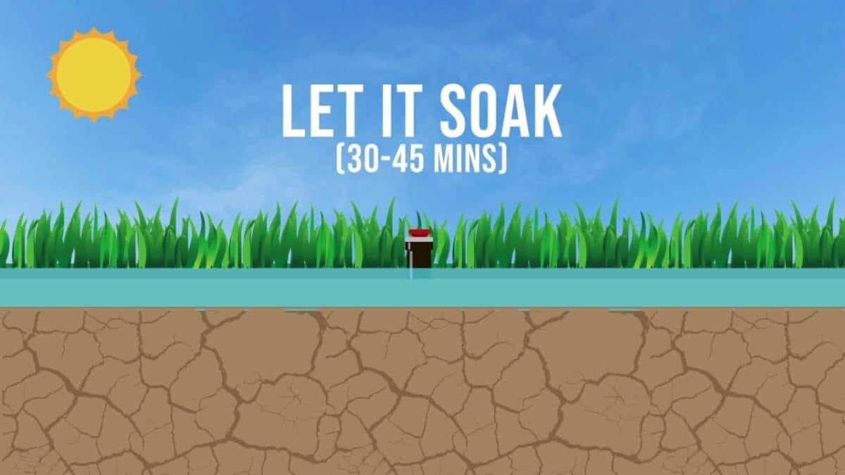 cycle-and-soak-by-tamu-ag-in-Dallas