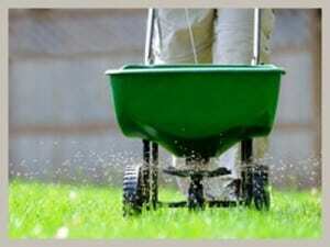 fertilizing-lawn-300x225-1