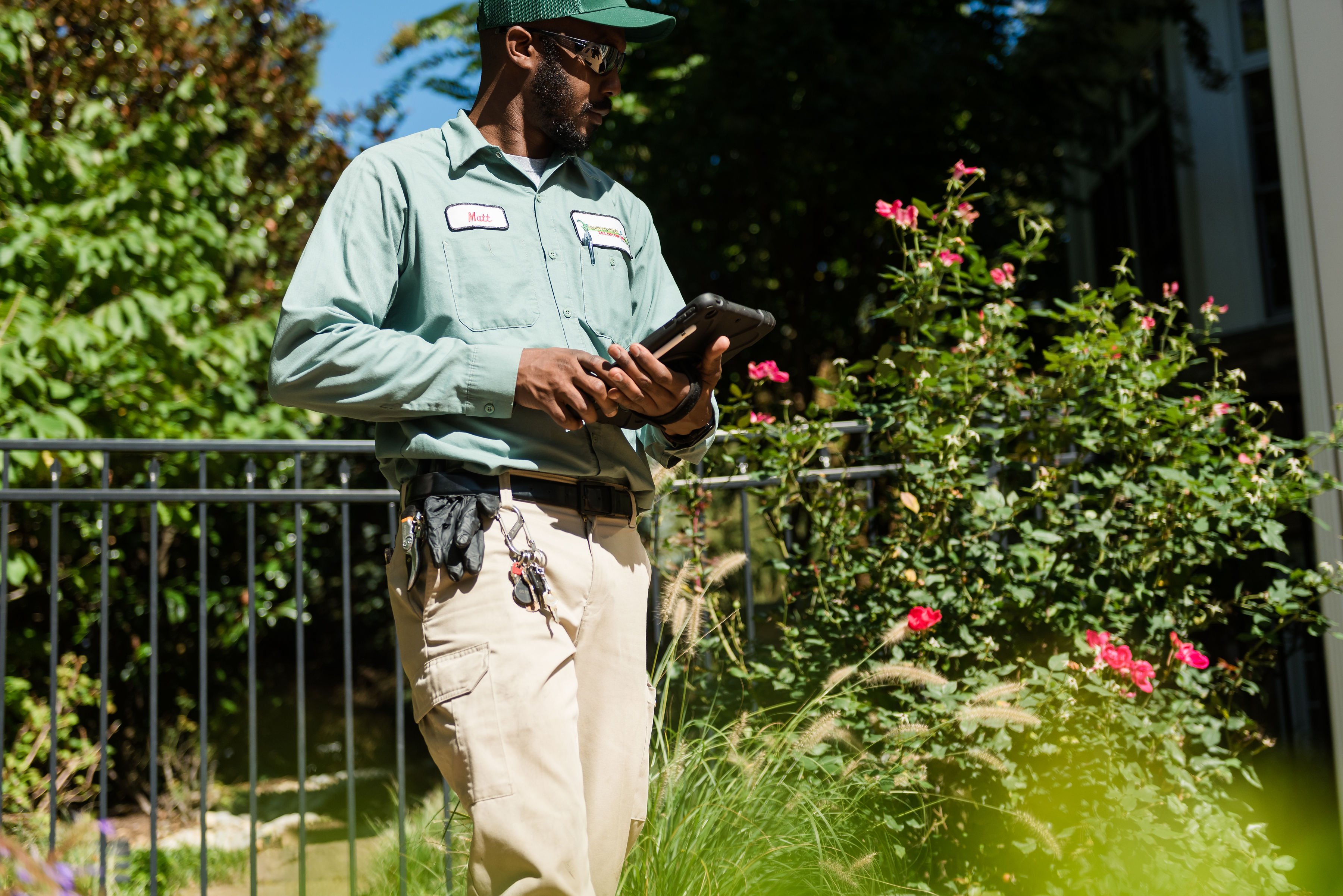 flea and tick control after treatment inspection