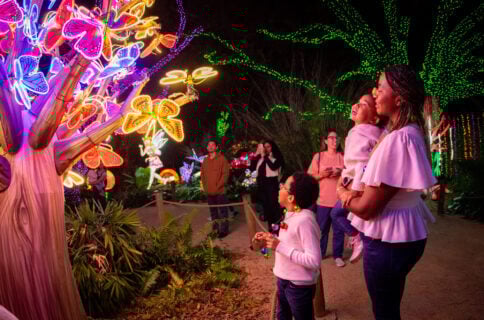 houston zoo holiday lights