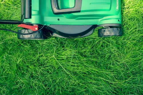 nutrient-deficient-lawn-care-in-texas-1200x795
