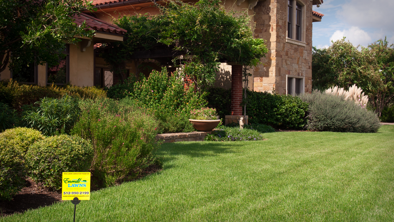 tree-shrub-fertilization-disease-pest-care-services-background