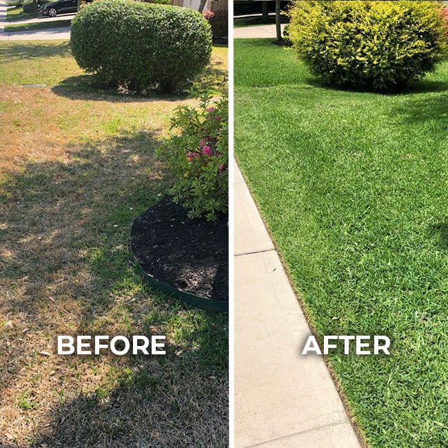 Grass before and after comprehensive lawn care