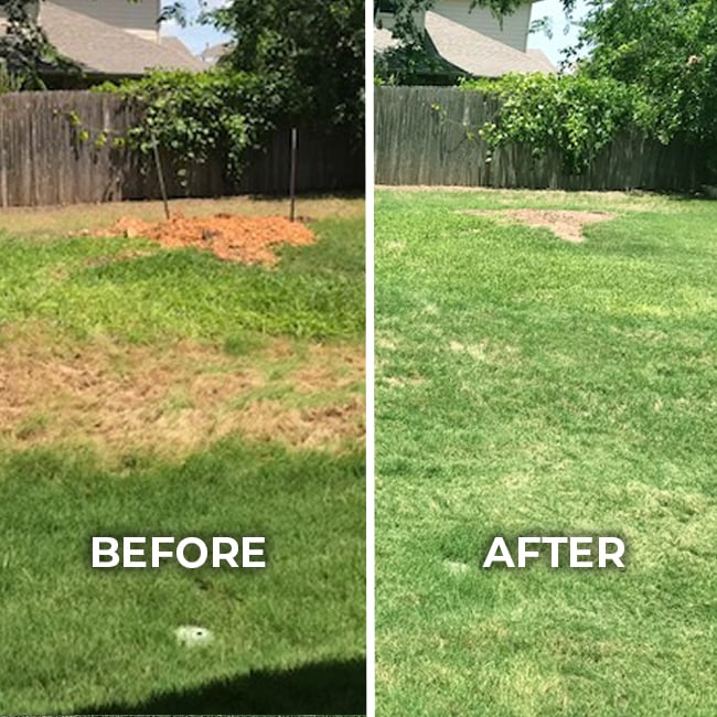 Lawn before and after professional lawn care